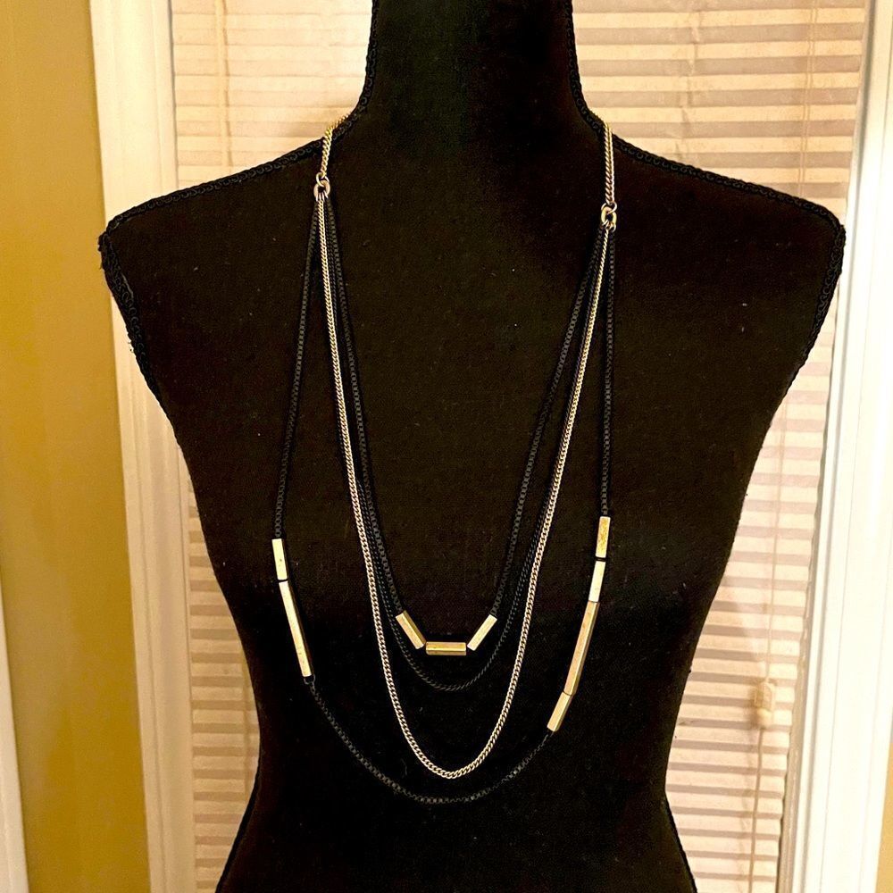 Lia Sophia Multi Strand Long Necklace
